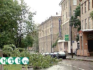 По официальным данным, 5 человек погибли, и 35 получили травмы в результате разбушевавшейся стихии в Москве и Подмосковье