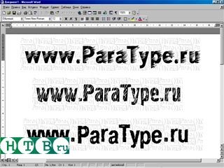 Новая услуга на компьютерном рынке России - шрифт имитирующий подчерк заказчика