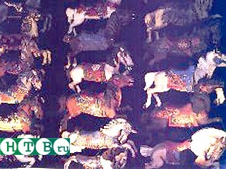 Китайский художник изобразил на одной картине почти 10 тыс. лошадей