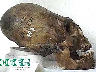 Сенсационная находка черепа предполагаемого предка человека сделана французскими исследователями в пустыне Джураб на северо-западе Чада. Имеющий возраст 6 млн. лет череп хорошо сохранился