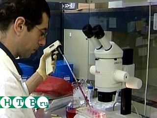В Израиле ученым удалось получить из эмбриональной ткани клетки сердечной мышцы человека