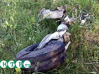 В Красноярском крае сгорел вертолет