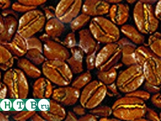 5 процентов экспортного кофе будет уничтожено в Мексике