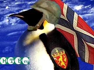 Король Норвегии присвоит внеочередное звание пингвину