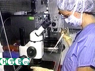 В США ученые впервые получили из эмбриональных клеток клетки крови