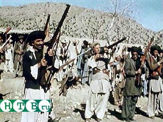 США и Северный альянс начали переговоры о совместной операции против талибов
