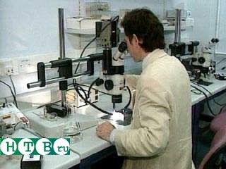 Ученый из Приморья Василий Бритов запатентовал вакцину от рака