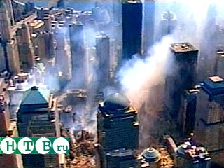 Основная масса проблем, связанных с работой спасателей на развалинах Всемирного торгового центра в Нью-Йорке, легла на плечи горожан