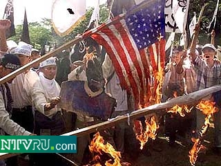 Индонезийцы вышли на улицы столицы страны, чтобы сжечь флаги США