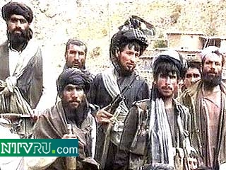 Военные формирования талибов могут иметь до 80 крайне эффективных портативных зенитных ракет "стингер", которые США сами предоставили в 80-х годах моджахедам