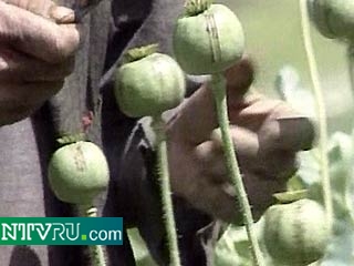 Афганистан намерен продать опиум за границу