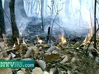 Лесные пожары в Хабаровском крае вплотную подошли к могильнику радиоактивных отходов