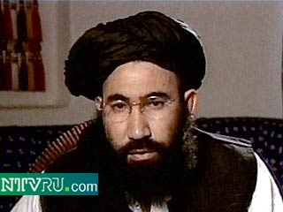 Если США докажут вину бен Ладена, то талибы готовы его судить
