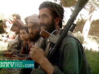 Талибы могут освободить сотрудников Shelter Now International