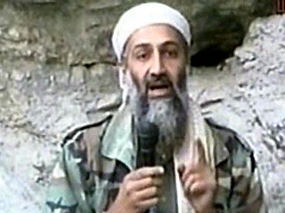 Текст заявления Усамы бен Ладена