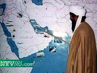 Руководство талибов поддержало джихад бен Ладена против США