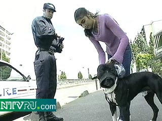 Парижан обязали убирать за своими собаками экскременты