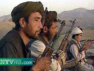 Талибы раздают населению оружие для отражения наземных атак американских спецназовцев