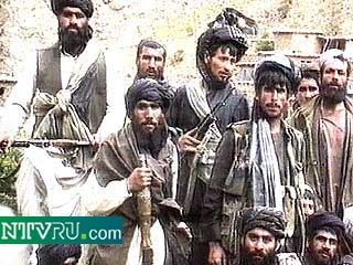 Талибы объявили президента Пакистана своим врагом