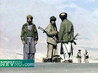 Движение "Талибан" получает продукты и оружие из Пакистана