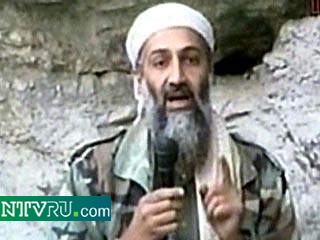 Бен Ладен объявился в Кандагаре