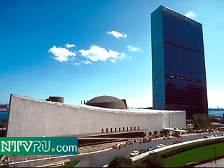 14 ноября Совет Безопасности ООН единогласно принял резолюцию 1378 по Афганистану