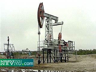 Российская нефть Urals стоит сейчас 16,74 доллара за баррель