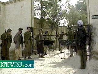 Красный Крест вывозит тела талибов, погибших во время бунта близ Мазари-Шарифа