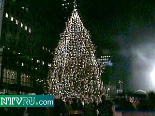 В Нью-Йорке на Ground Zero установлена Роджественская елка