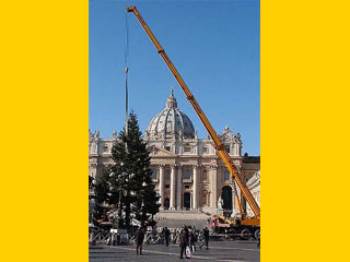 Водружение рождественской ели на площади святого Петра в Ватикане