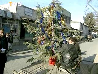 В посольстве США в Кабуле морские пехотинцы нарядили новогоднюю елку