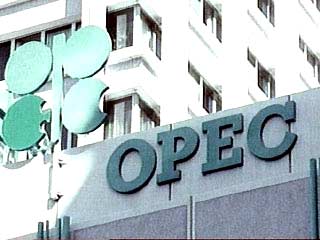 ОПЕК определится с сокращением экспорта нефти в пятницу