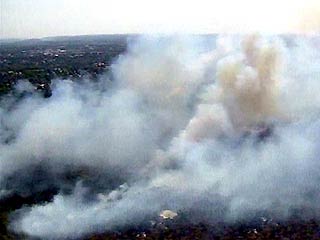 Лесные пожары в Австралии вплотную приблизились к Сиднею