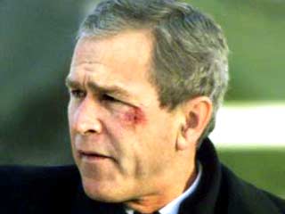 В японском правительстве и медицинских кругах с сомнением восприняли официальную версию недавнего инцидента с Джорджем Бушем