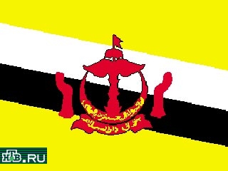 Бруней - султанат в Юго-Восточной Азии, на части побережья острова Калимантан. Его площадь - 5,8 тыс. кв. км, население - 276 тыс. человек. Бруней граничит с Малайзией, на севере омывается Южно-Китайским морем