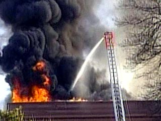 660 пожарных продолжают бороться с огнем в одном из богатых кварталов города Фоллбрук к северу от Сан-Диего в Калифорнии