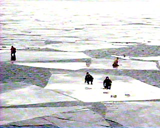 По озеру Ильмень дрейфует льдина с 50 рыбаками