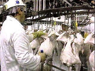 Цены на курятину в России за время действия заперта на ввоз мяса птицы из США повысились почти на 10%