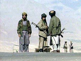 В провинции Пактия на востоке страны талибы и боевики "Аль-Каиды" ведут перегруппировку сил возле населенного пункта Зерак