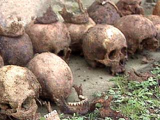 В Германии найдена братская могила, возраст которой 5 тысяч лет
