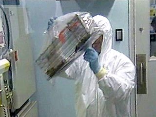 Споры бактерий сибирской язвы были обнаружены в двух помещениях исследовательской лаборатории Армии США