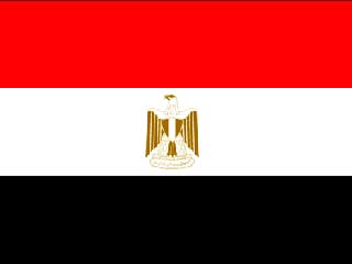 Хабиб аль-Адели сослался на оперативную "информацию, имеющуюся у египетского МВД"