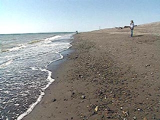 Санитарная служба подписала паспорта на открытие всех пляжей на побережье в Донецкой области