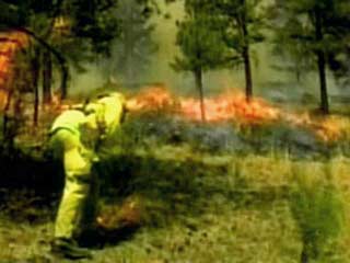 40 тысяч га лесов в Колорадо выгорело из-за письма бывшего мужа