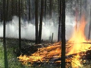 Лесной пожар подступает к заводу по производству сжиженного газа под Якутском