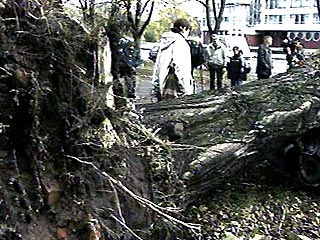 По Калининградской области пронесся ураган