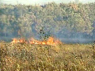 МЧС продолжает бороться с огнем в Подмосковных лесах