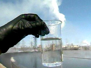 Вибрион холеры, обнаруженный в одной из рек в Новосибирске, не представляет опасности
