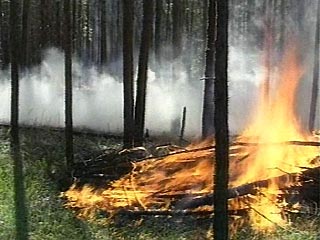 На Камчатке продолжаются сильные лесные пожары