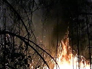 В Подмосковье, недалеко от МКАД, горят торфяники